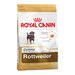 Royal Canin Rottweiler Junior Сухой корм для щенков породы Ротвейлер – интернет-магазин Ле’Муррр