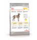 Royal Canin Maxi Dermacomfort Сухой корм для взрослых собак крупных пород для чувствительной кожи и шерсти – интернет-магазин Ле’Муррр