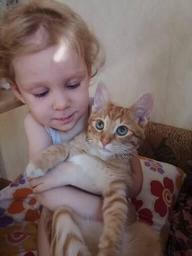 Пользовательская фотография №2 к отзыву на Royal Canin Kitten Корм сухой сбалансированный для котят в период второй фазы роста до 12 месяцев